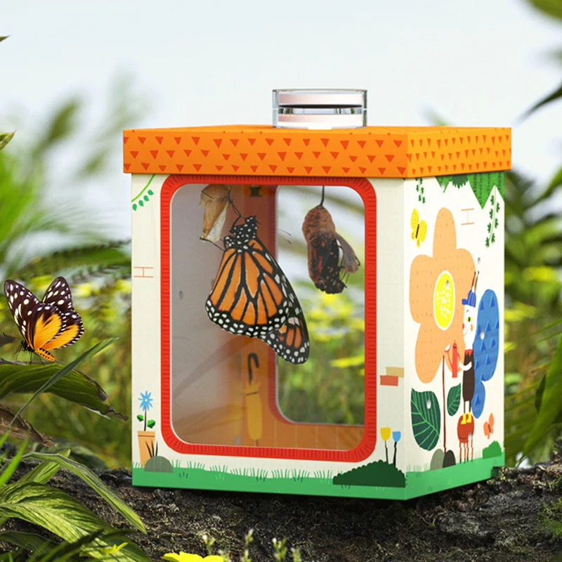 

Insect Observation Box with LED Light Kids Montessori Toys Biology Teaching Aids Educational Toys For Children Science Toy