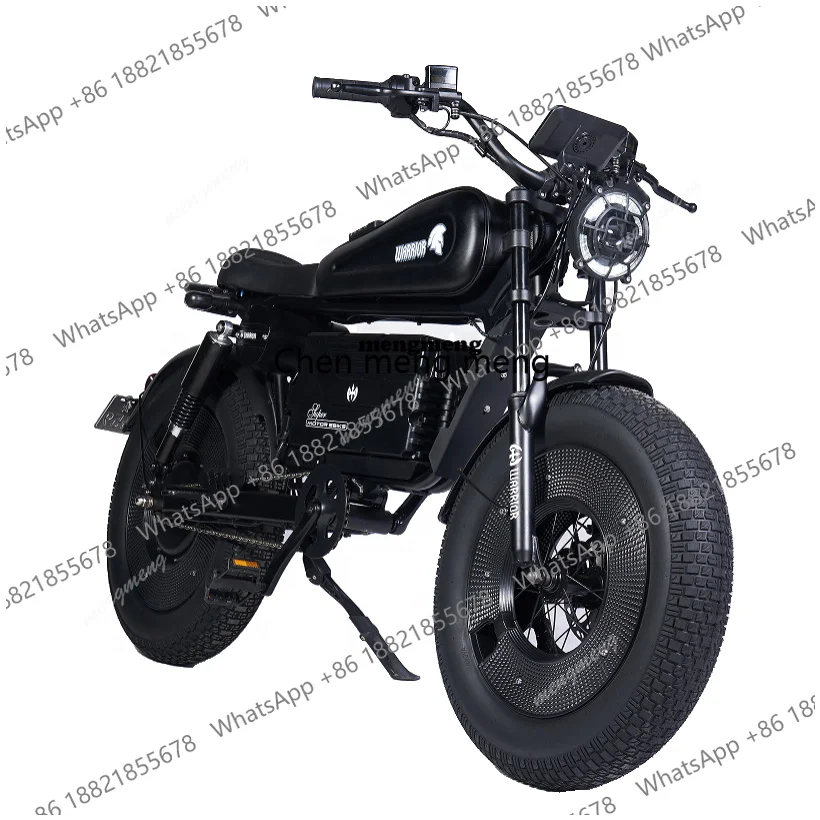 China Cheap Long Range Moto Electric Retro Sport Cross Bike Motorcycles Electrical System E Bike Bicycle for Adults Man Lad