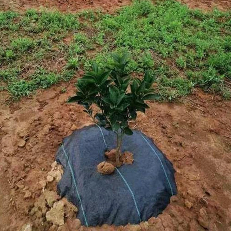 Weed Barrier Fabric Anti Grass Cloth, Breathable Permeable Design, Block Weeds for Garden Farm Orchard Planting Use