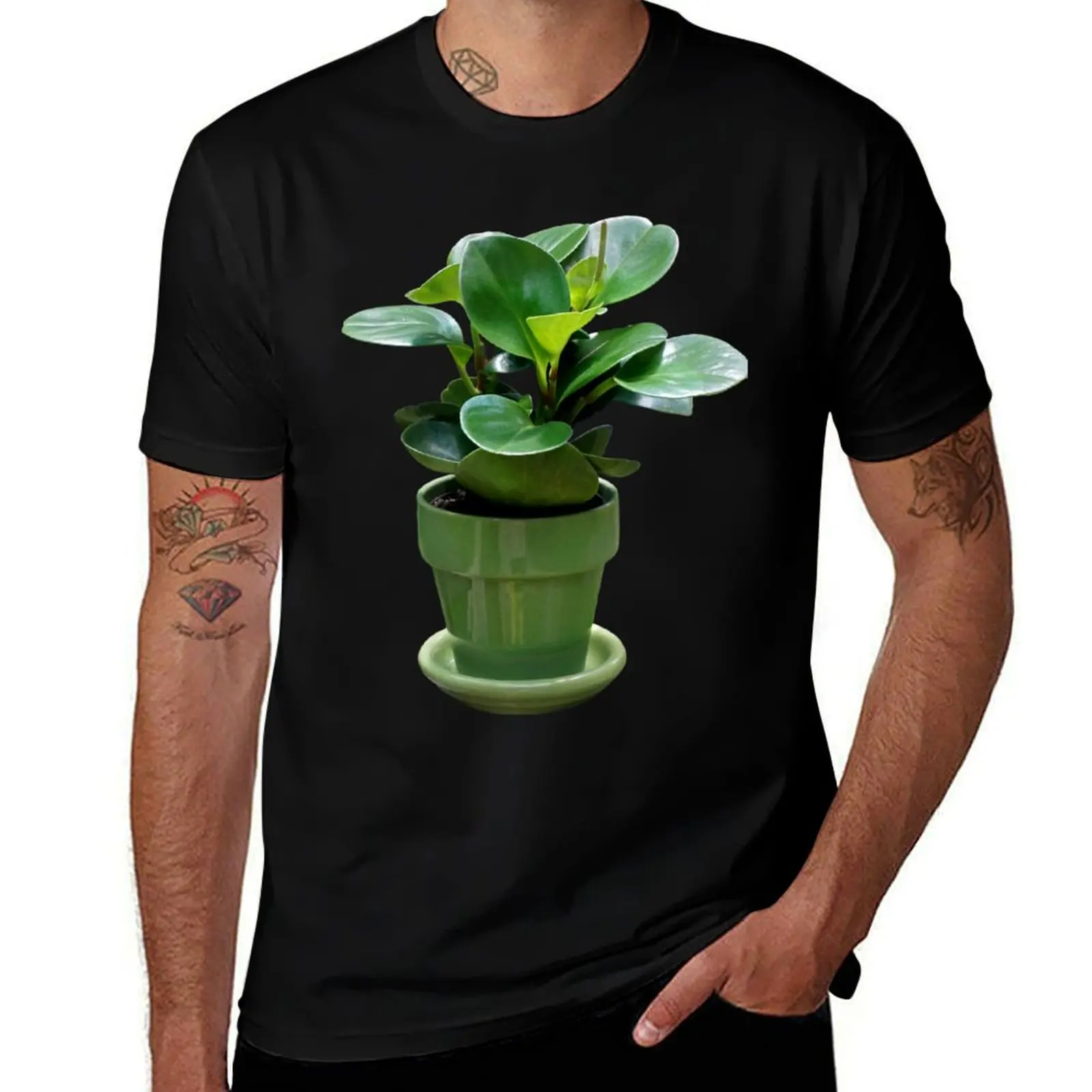 

Natural Peperomia Indoor House Plant T-Shirt anime tshirt t shirts for man graphic cars T-Shirt