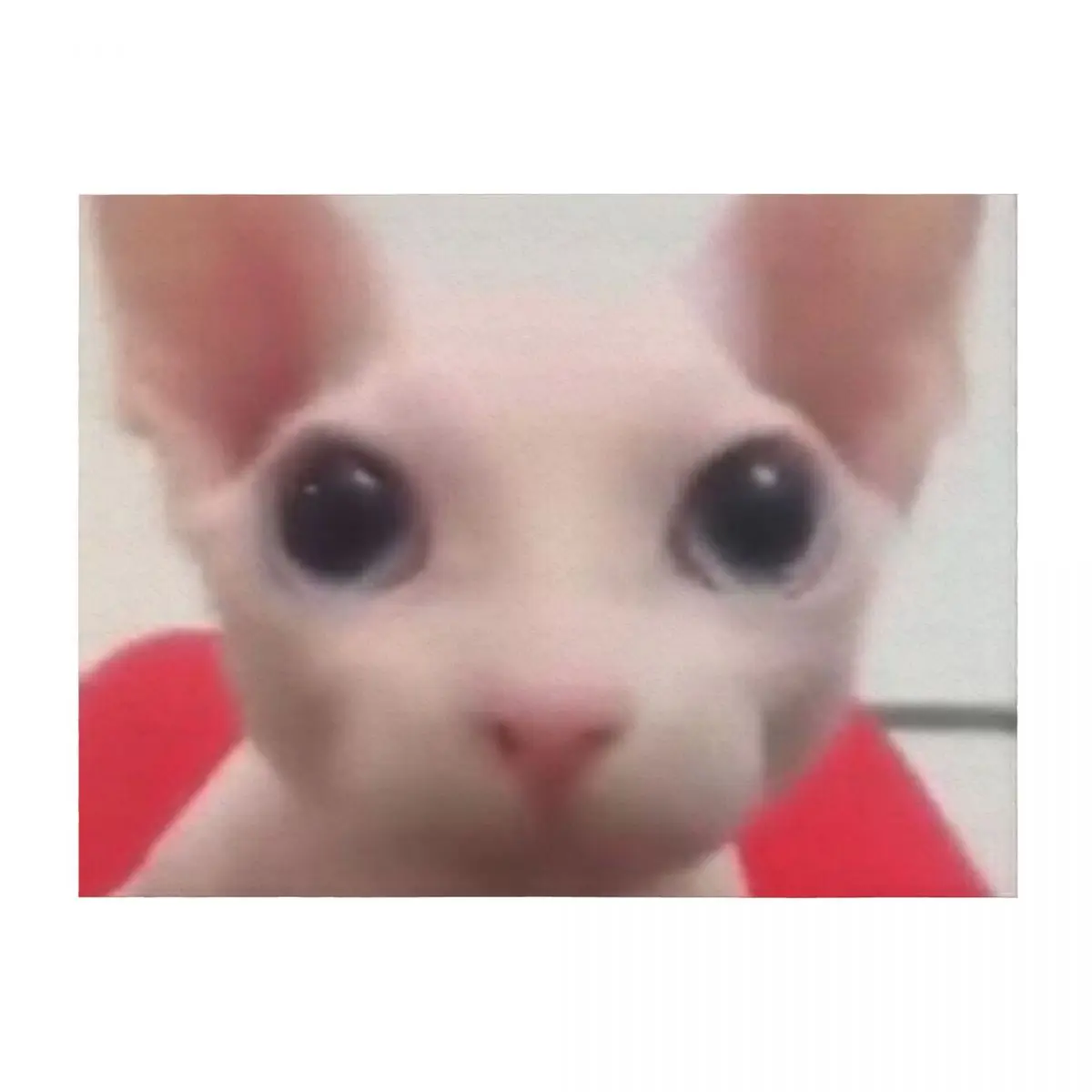 

bingus! Throw Blanket Large Luxury St Stuffeds Luxury Blankets