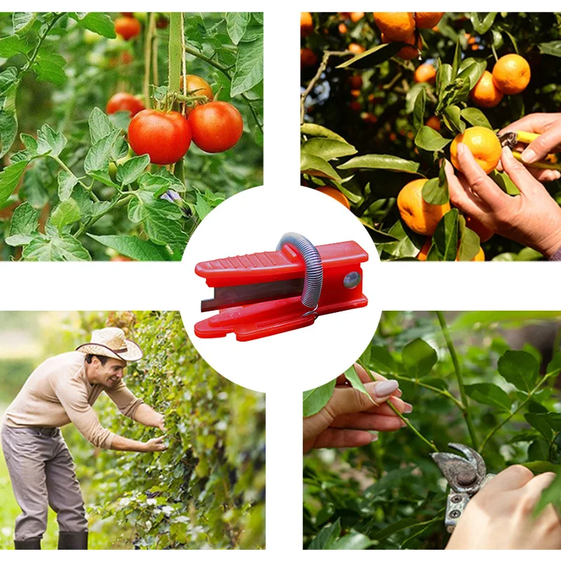 

Multifunction Vegetable Finger Knife 5PC Garden Pruner Fruit Vegetable Harvesting Fruit Blade Tool Cutting Blade Rings Finger