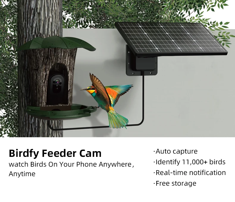 3MP 1296P  iCam+  APP  Solar Power AI Bird Feeder Wireless WIFI  PTZ IP Dome Camera Watch Bird Camera Home Security CCTV Monitor