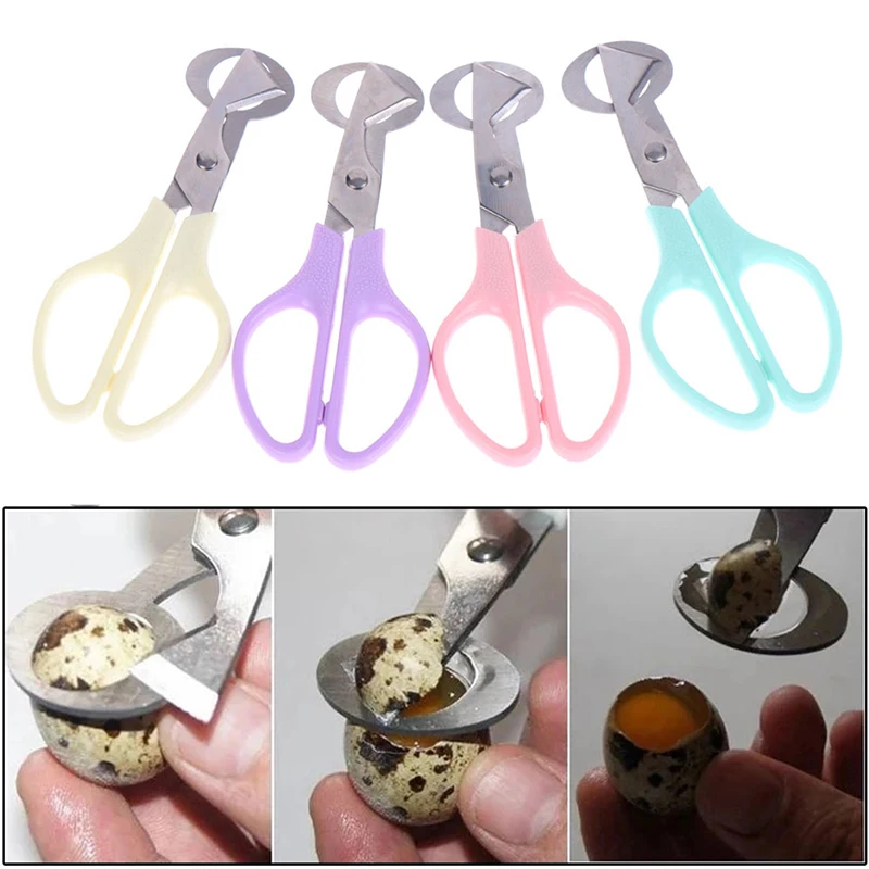 Quail Egg Scissors Bird Egg Scissors Stainless Steel Egg Cutters EggShell Cutters Egg Opener Kitchen Hand Tools Scissors