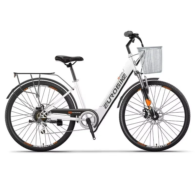 

Powerful Adult Smart Electric Bike For 2 People With 2 Seats Ebike 350W Family Two Wheels Electric Booster Bicycle Ladies 90KM