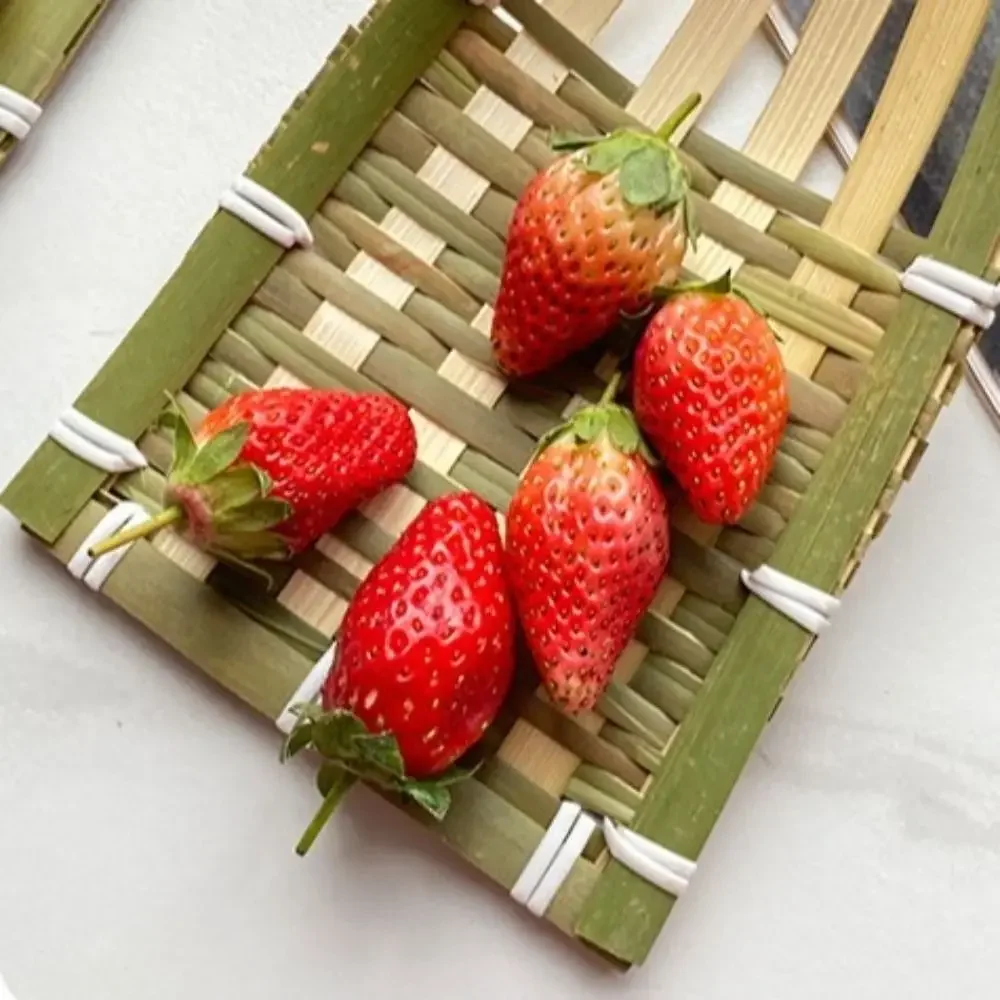 

2Pcs Japanese Woven Serving Tray Reusable Lightweight Refrigeration Plate Elegant Natural Color Handheld Sushi Tray Home