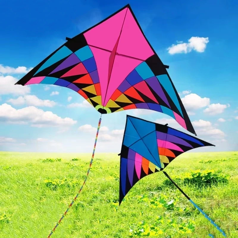 Free Shipping rainbow delta kites flying for kids kites factory Dragon wind hfly kite store volantin kite flying adult eagle fun