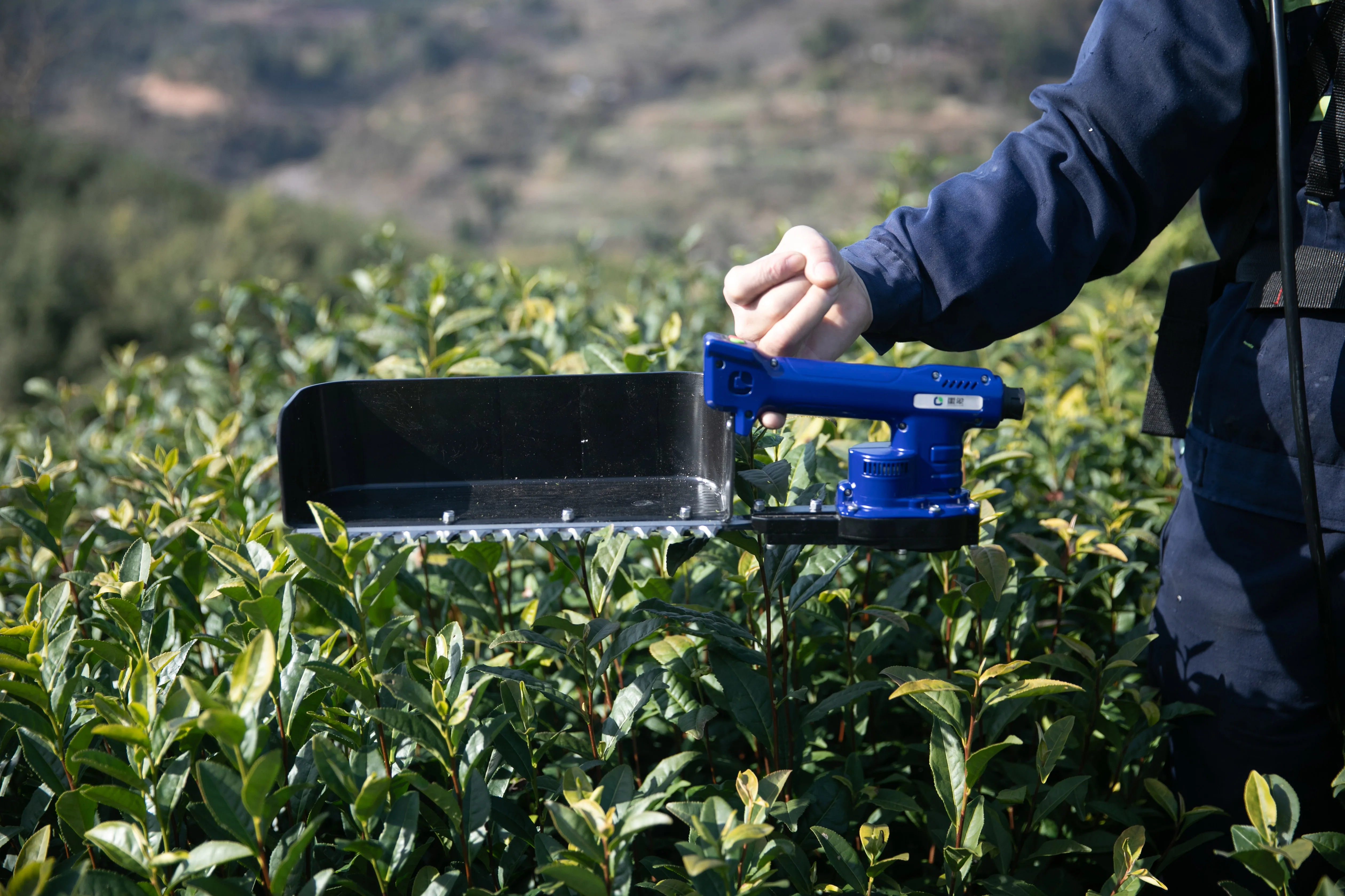 2022 New Design Electric Tea Picking Machine Equipped With Brush-less Iron-less Disc Motor