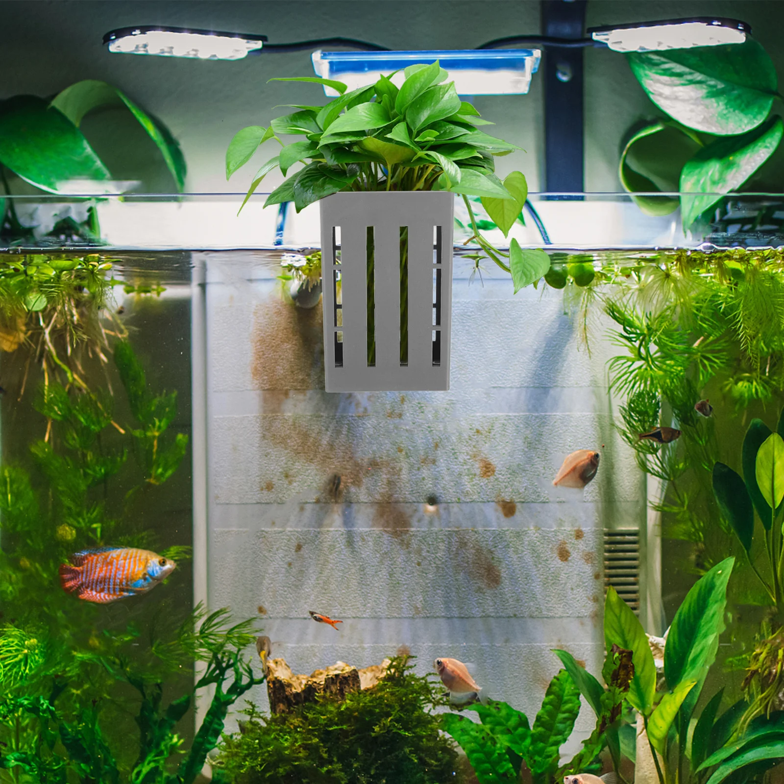 

4Pcs Hanging Aquarium Plant Holders Plastic Planter Pots for Aquatic Plants Fish Tank Decoration Breathable Fish