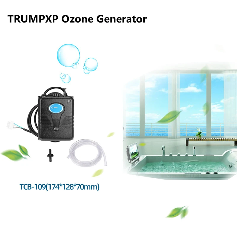 2024 220V 300Mg/H Ozone Generator Bathtub Shower SPA Swimming Pool Ozonizer Tub Pool Water Purifier Replacement Device Kit