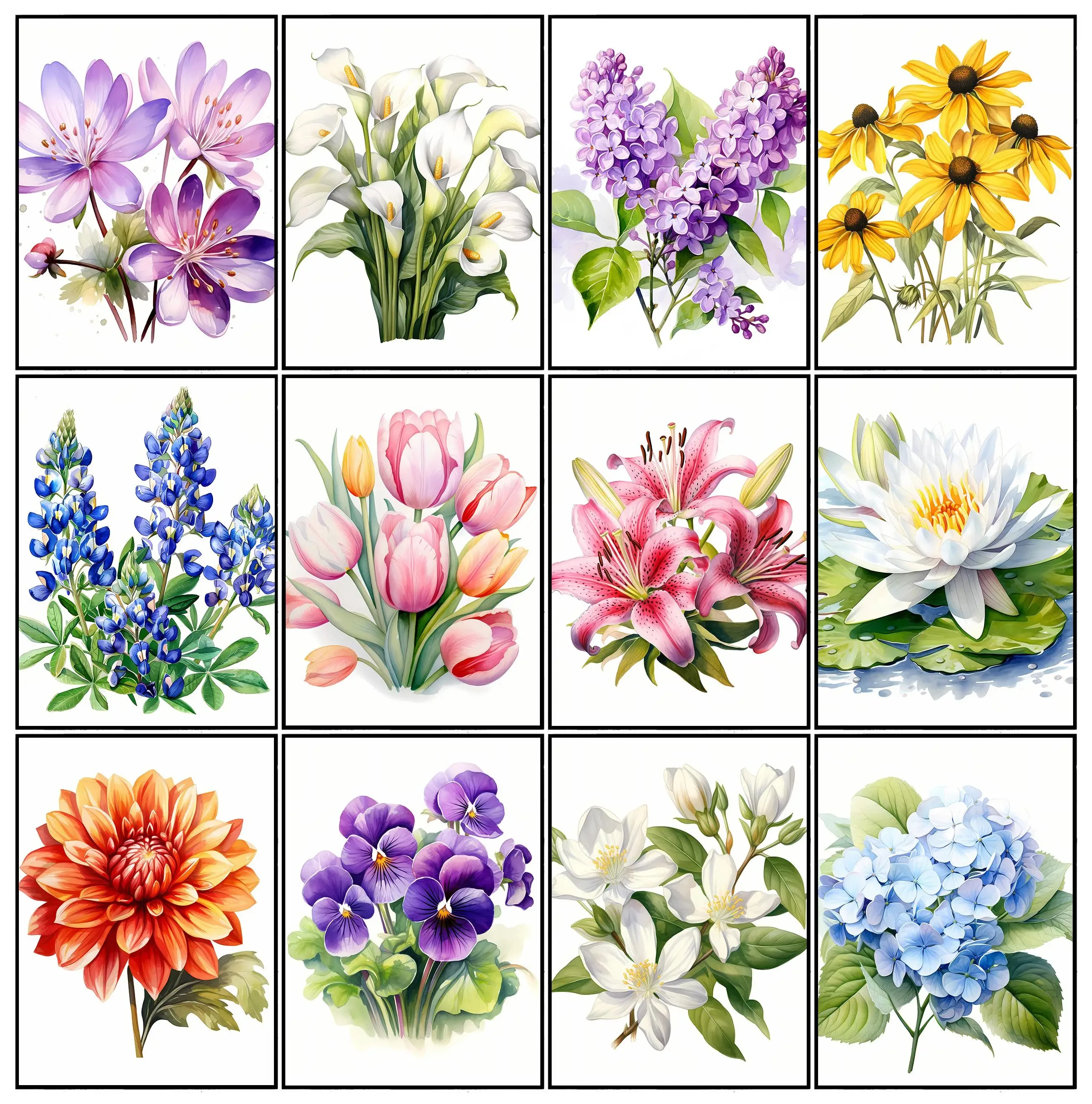 Modern Minimalist Watercolor Flower Tulip Lily Daisy Plant Art Nordic Poster Canvas Paintings Wall Art Pictures Home Decor