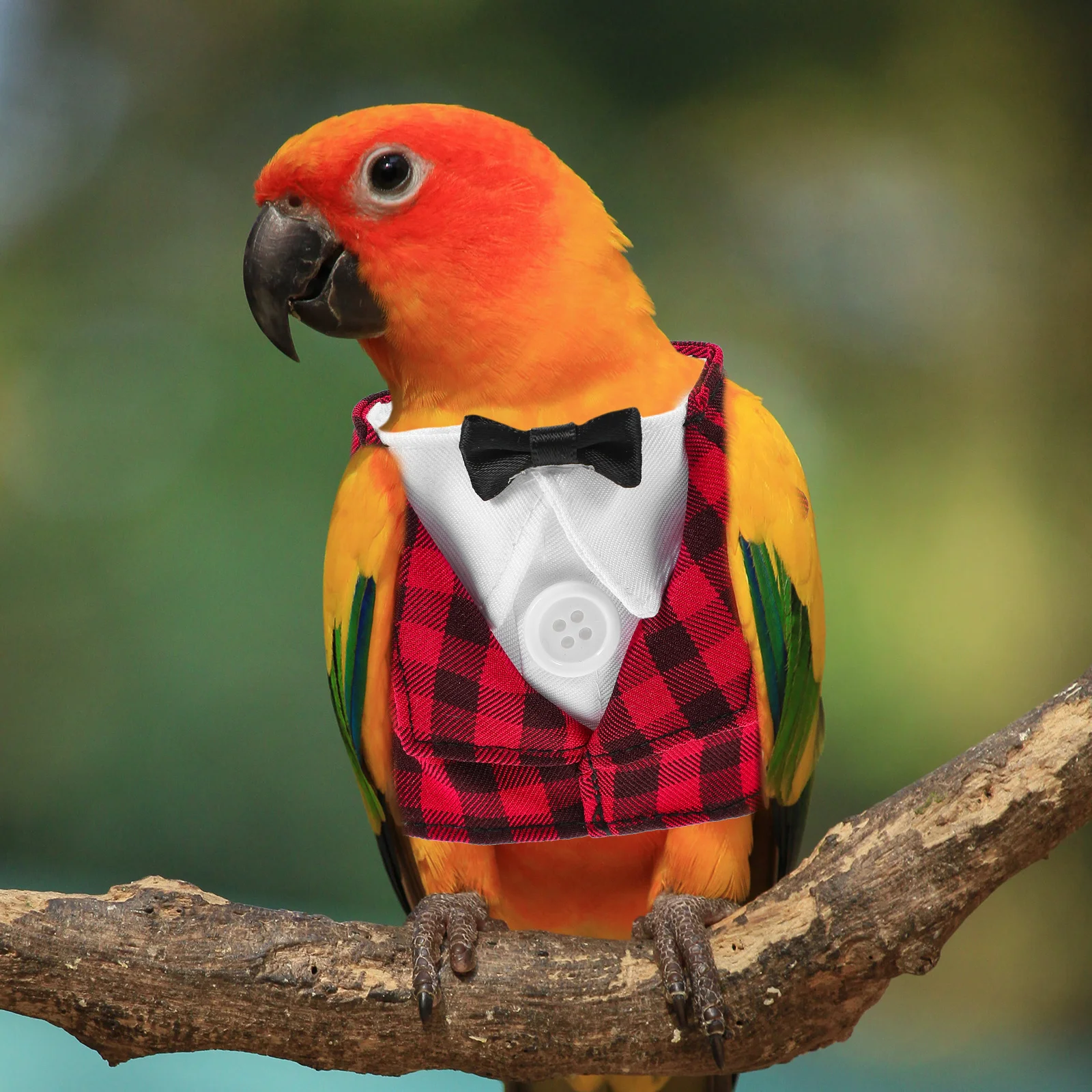 

Bird Gentleman Suit Stylish Parrot Holiday Clothes Creative Shirt Cosplay Costume Pet Supplies Warm Durable Parrot Clothing
