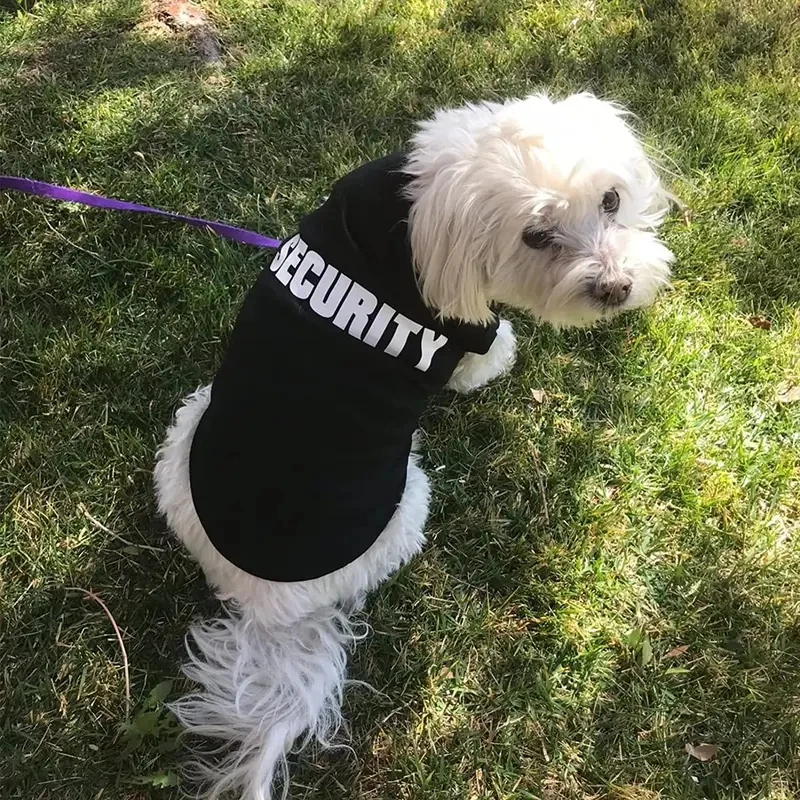 Ropa de seguridad para perros, ropa de verano para mascotas, chaleco para perros pequeños, Chihuahua, Yorkshire, cachorros, gatos, precio bajo, camiseta para mascotas, disfraz