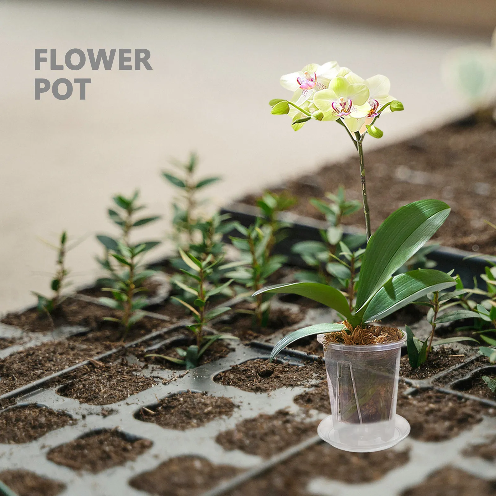 4Sets Plastic Orchid Pots Clear Slotted Planter Orchid Flower Pots Nursery Container Drainage Hole Tray for Garden