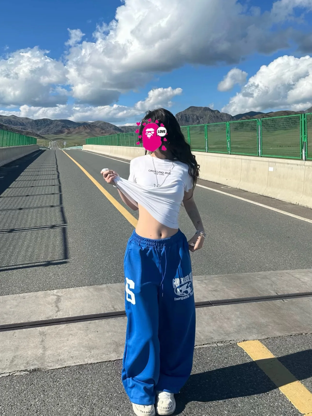 American Style Embroidered Flocking Print Wide Leg Pants Women Summer Loose Draped Lazy Versatile Long Pants Casual Sweatpants