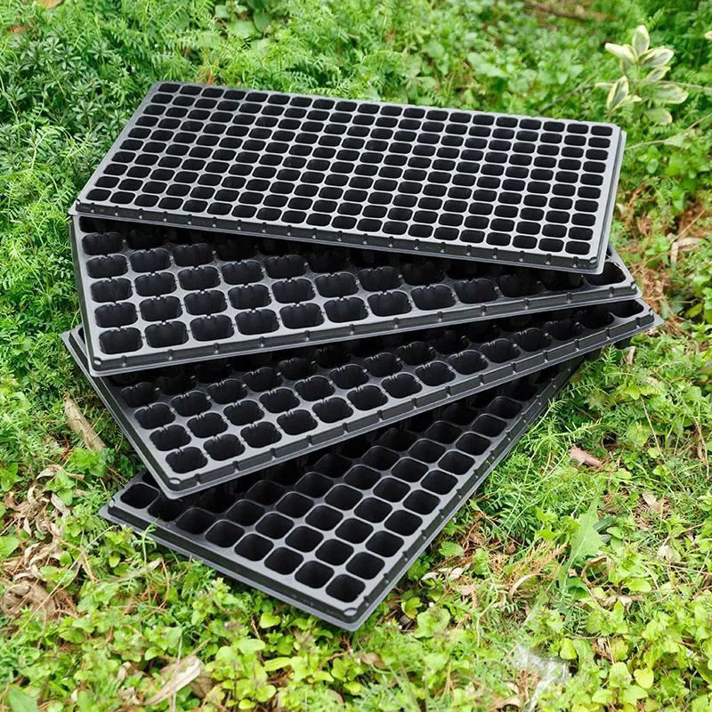 Plastic vegetable seedling tray, bean sprouts tray, vegetable nutrition bowl, succulent seedling tray