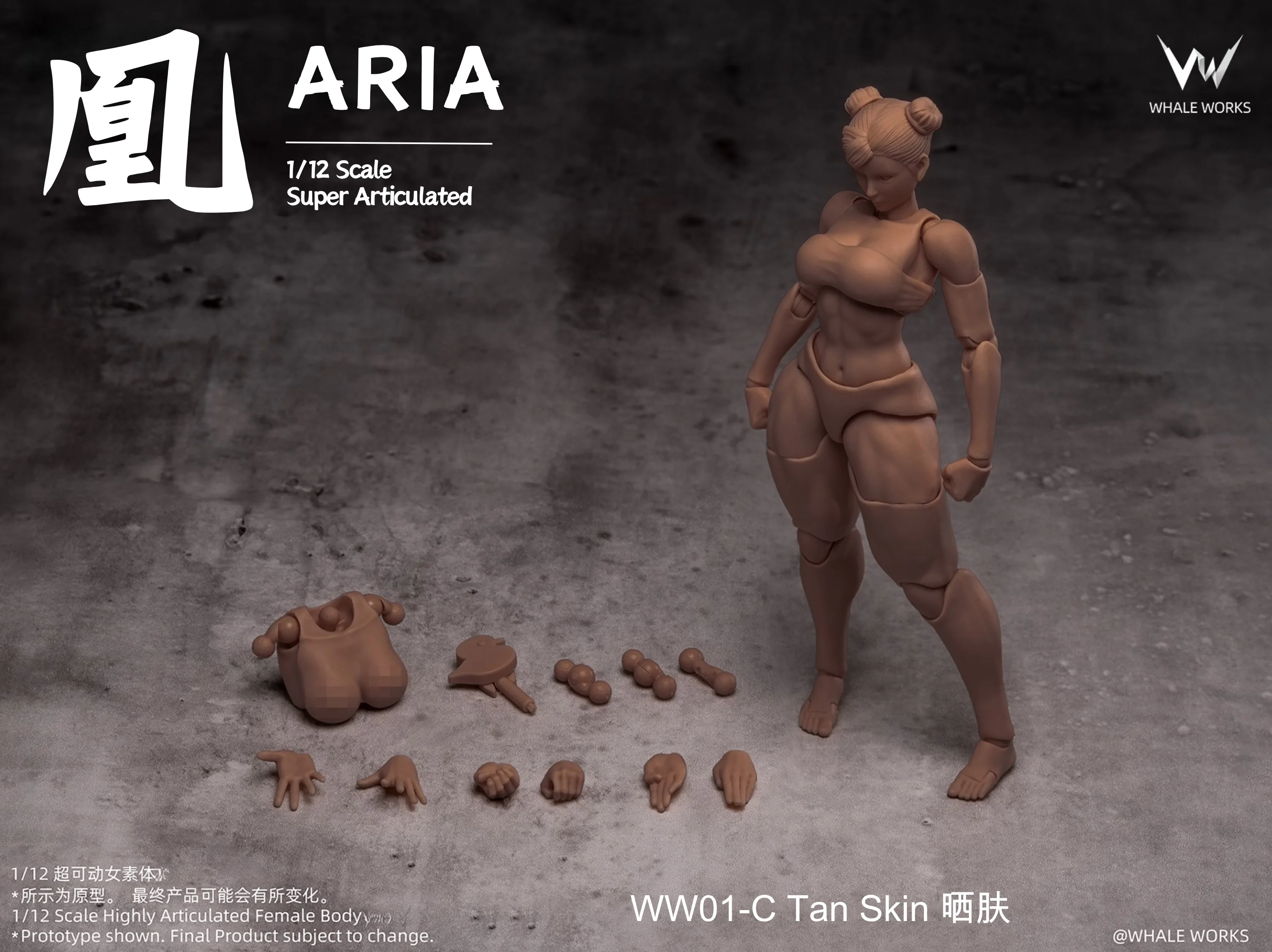 In Stock Original Whale Works 1/12 Scale Super Articulated Female