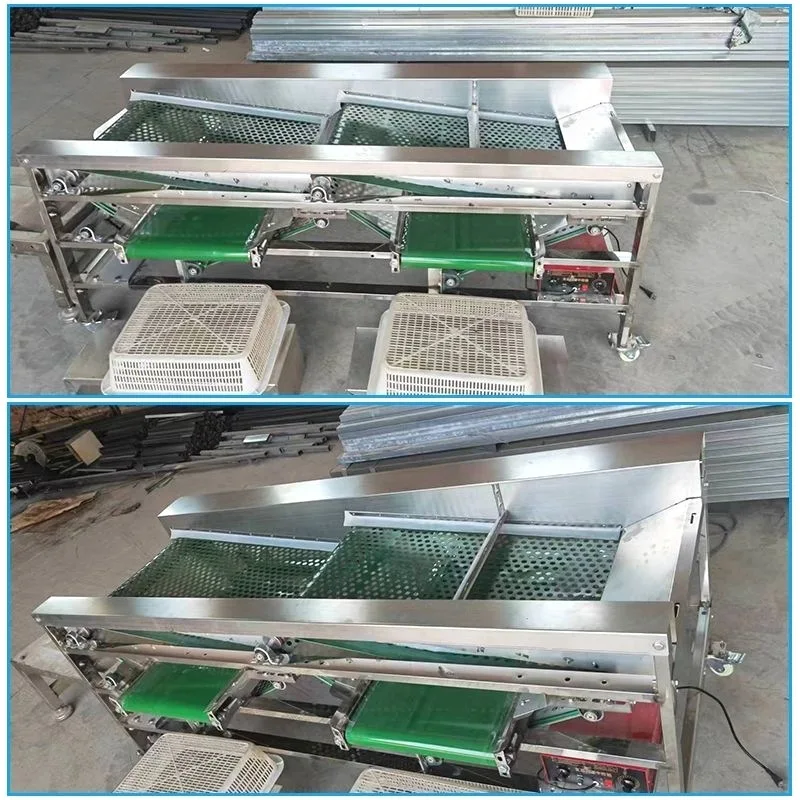 Commercial blueberry screening machine with hole sorting equipment