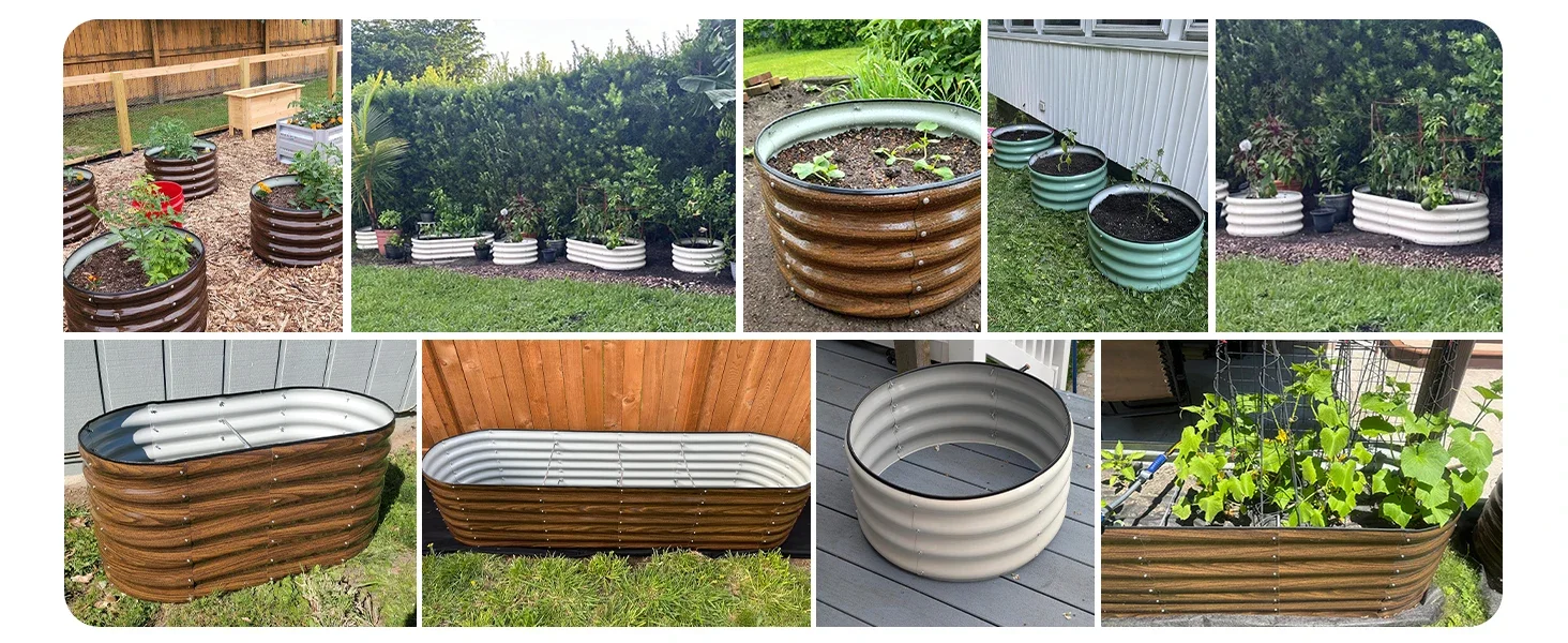raised garden bed