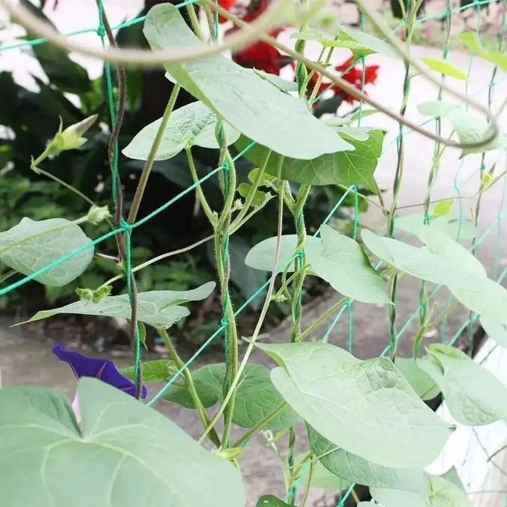

2x100 M Plant Climbing Net Mesh Loofah Cucumber Climbing Vine Net Reusable Melon Hanging Vegetable Trellis Pond Pool Protection