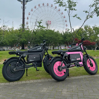 STLF Fashion Electric Bike 20\