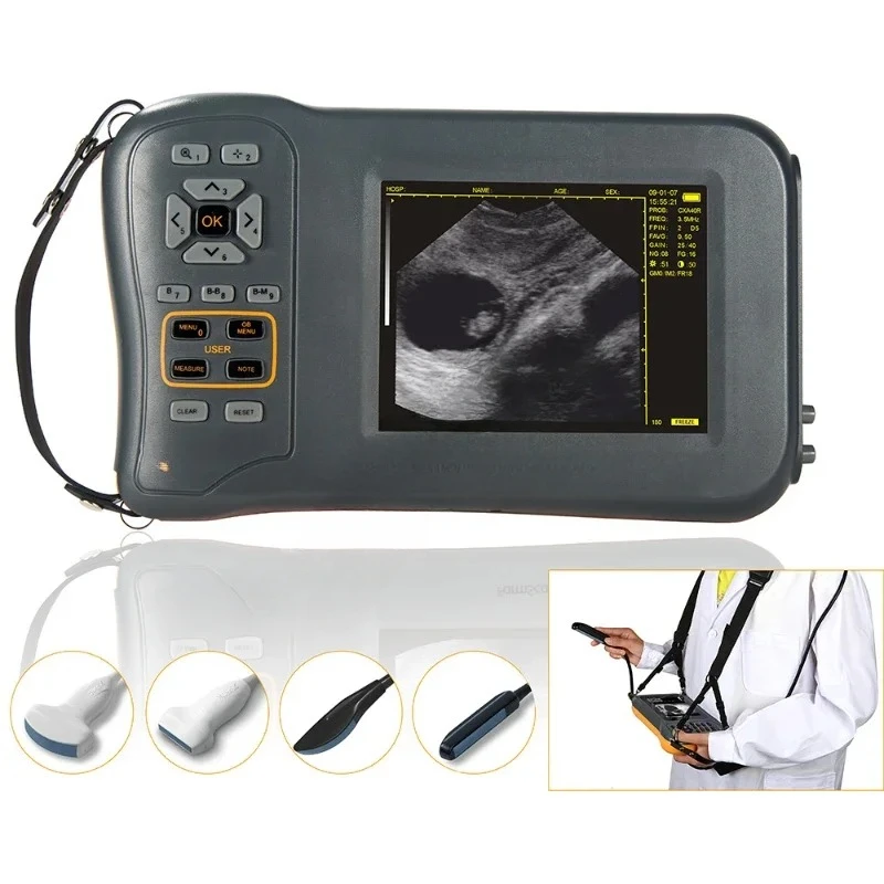 5.8 Inch Farm Portable Ultrasound Scanner Machine Sheep Pig Cow Equine  Veterinary Equipment Farmscan L60 USG Ecografo