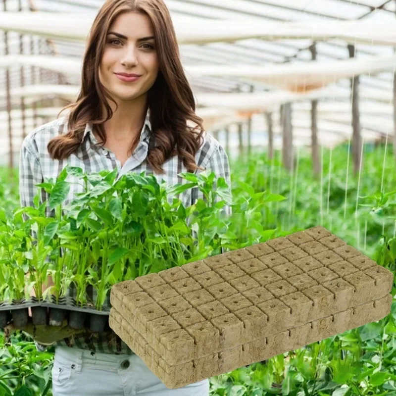 300/50Pcs Planting Sponge Stone Wool Starter Plugs Hydroponic Grow Media Cubes Seedling Grow Block Greenhouse Garden Supplies