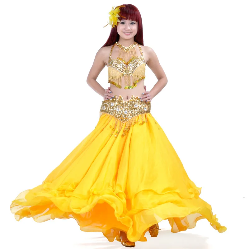 Belly Dance Costume Performance Set Adjustable Bra Chiffon Sequins Accessories Dancewear Clothes Outfit Professional Suit