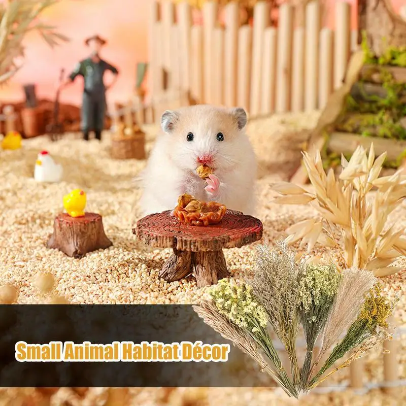 Nature Flower Herb Hamster Bedding Decor Hamster Habitat Decor Hamster Cage Supplies For Hamsters Gerbils Rabbit Other Small Pet