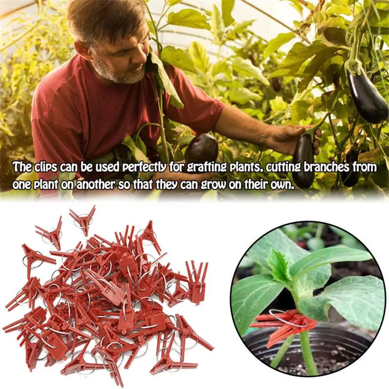 50PCS Plant Grafting Clip Plastic Gardening Tool For Cucumber Eggplant Watermelon Round Mouth Flat Mouth Anti-fall Clamp