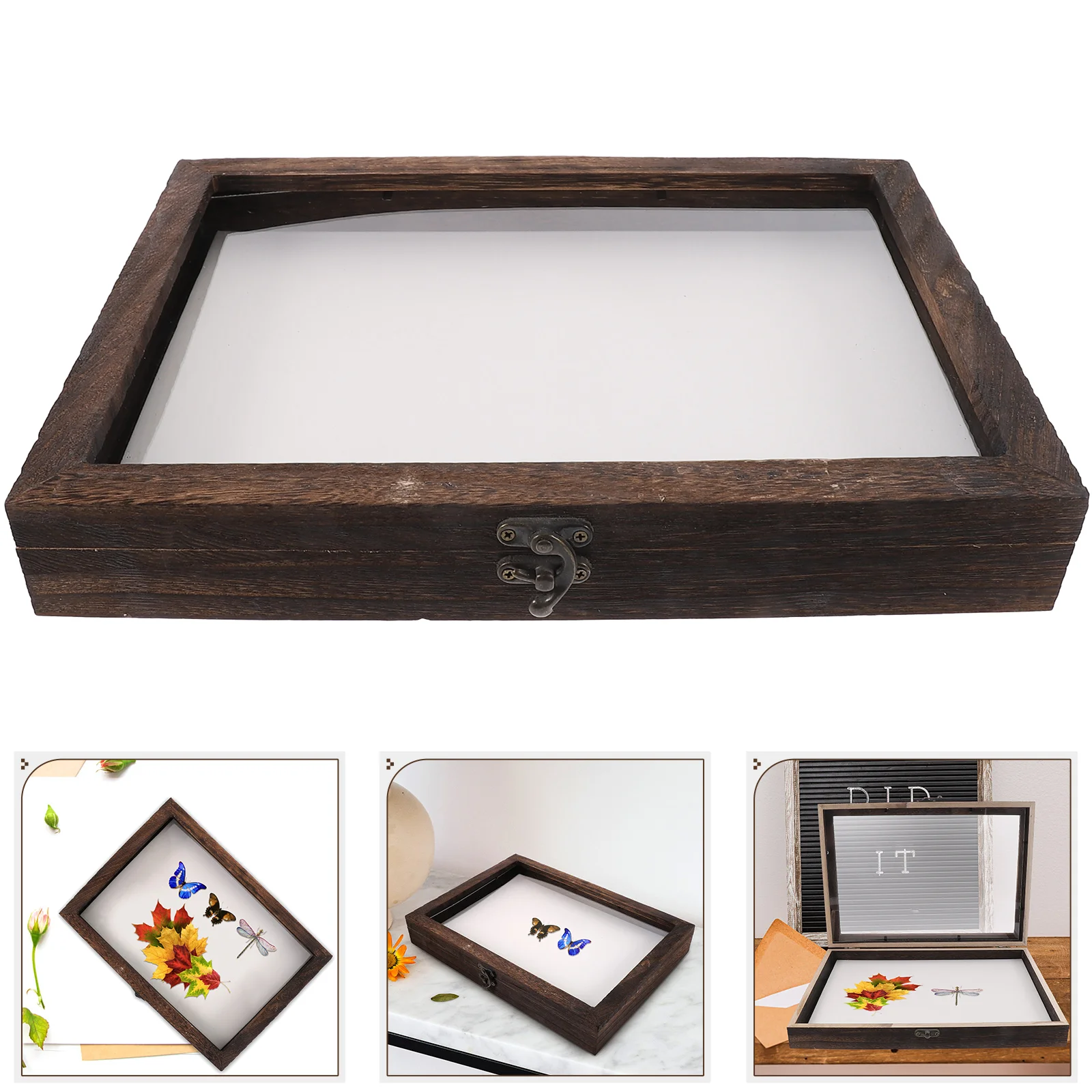 

Fly Screen Insect Specimen Box Mini Frames Wood Display Holder Beetle Wooden Watch Stand