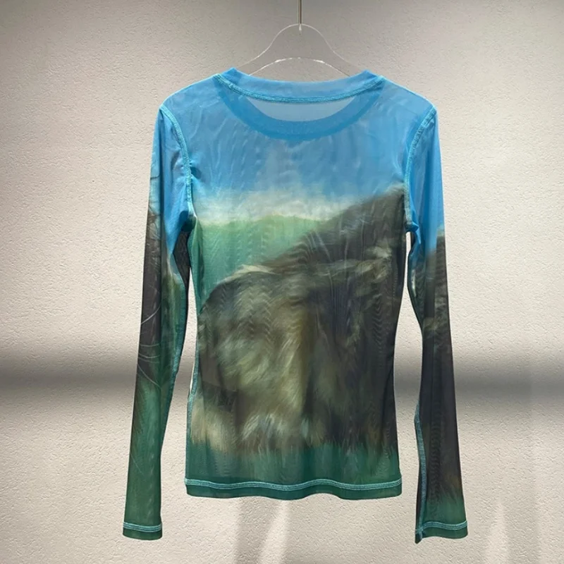 See Through Cat Print Mesh Sheet Long Sleeve T-Shirt 2026 New Autumn Fashion Elegant Casual Shirt Tops Tees