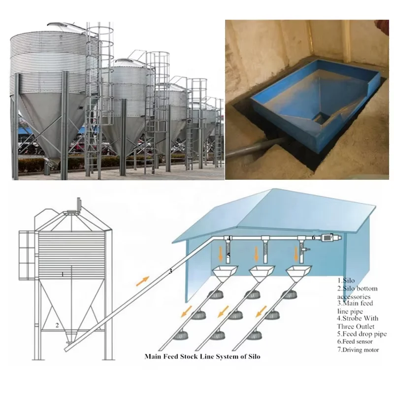Automatic chicken feeding line system High-quality complete sets of equipment Feeding line Poultry breeding equipment