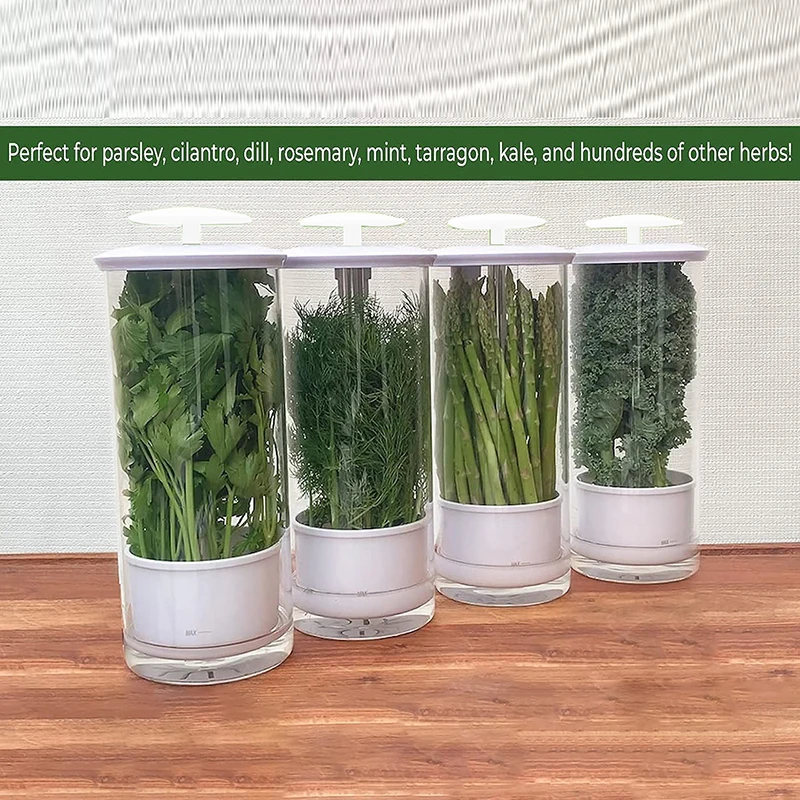 Clear Vegetable Saver Plastic Herb Storage Container Herb Saver For Refrigerator Breathable Tall Shape Fresh Herb Keeper