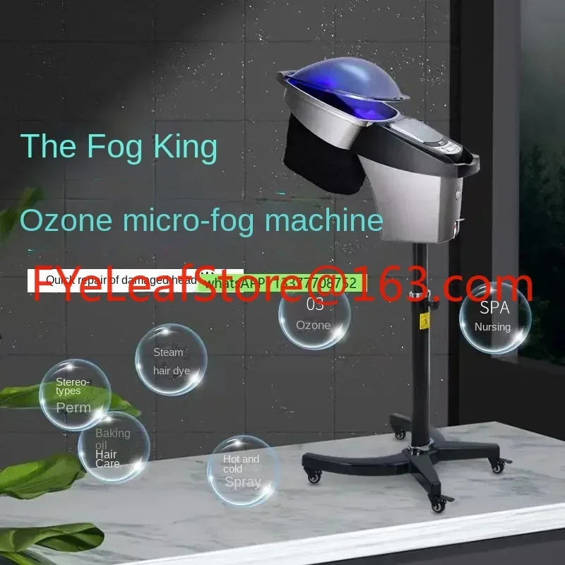 Ozone Micro Mist Machine Steam Care Hair Care Heater Biochemical Analyzer Barber Shop for Hair SalonOil Treatment Machine