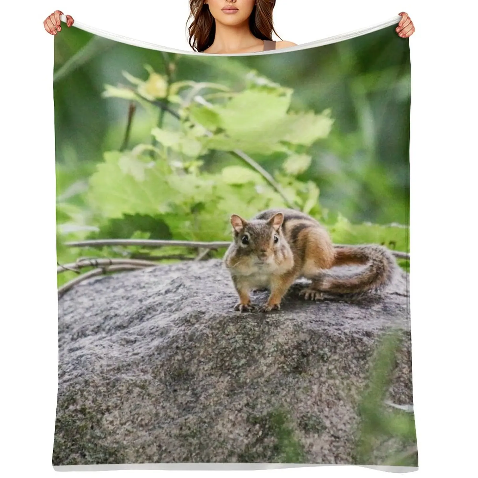 

Chipmunk Throw Blanket Luxury Thicken Cute Single Picnic Blankets