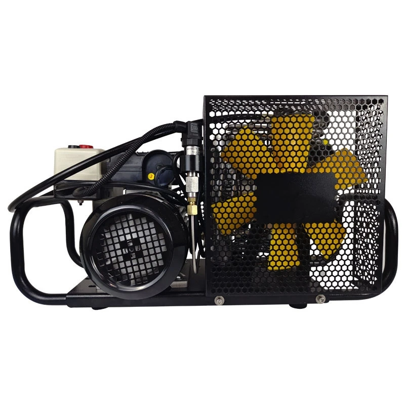 Portable 100L/min (6m³/h) High-Pressure Auto Shutdown Diving Air Breathing Compressor Auto-Charging Air Industrial Compressors