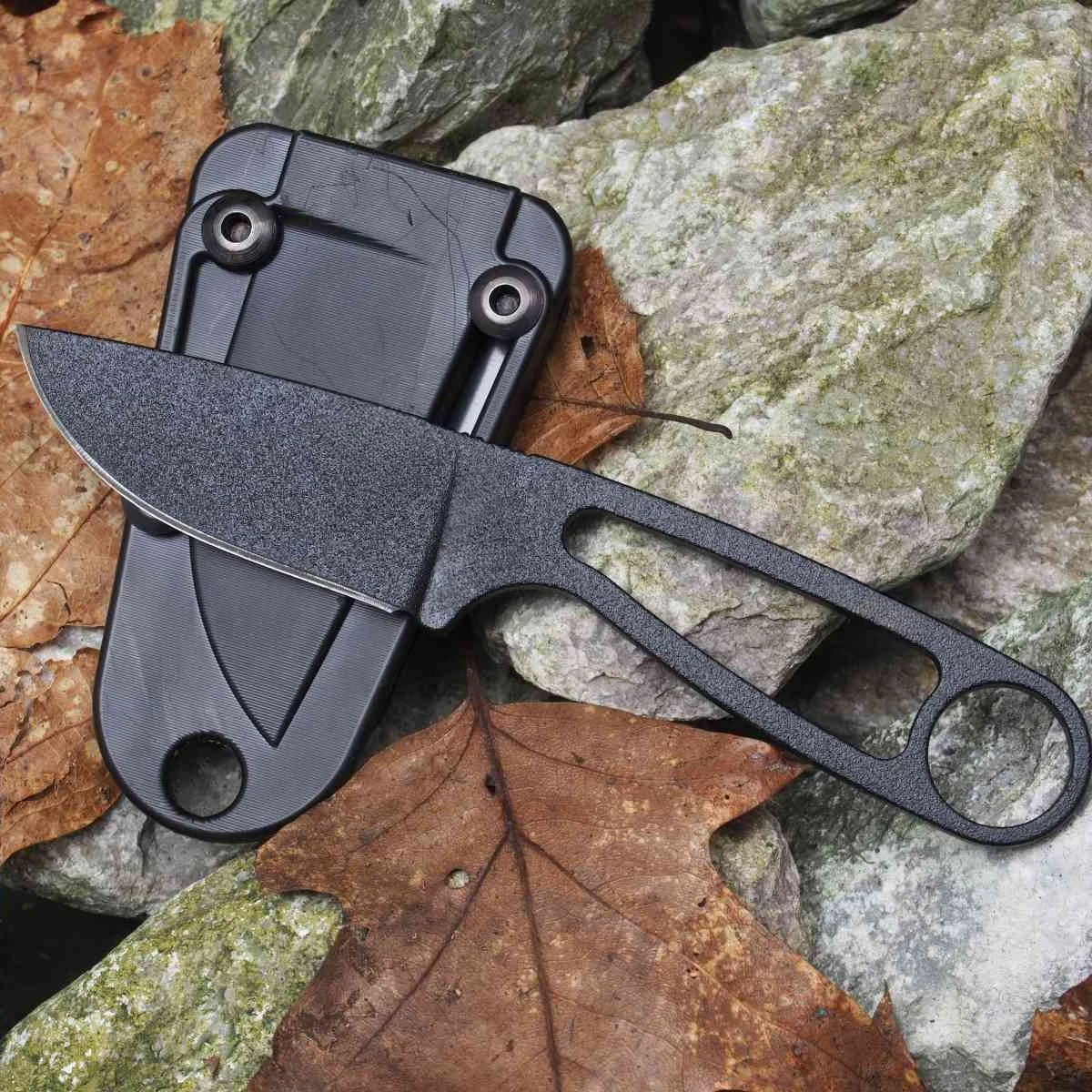 Ant E Izula 12992 F…