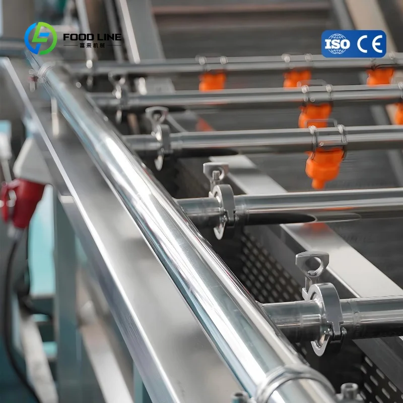 Customized Air Bubble Washing Machine with Motor Pump for Soybean Nuts Vegetable/Fruit Sterilizing Pesticide Residue Removal