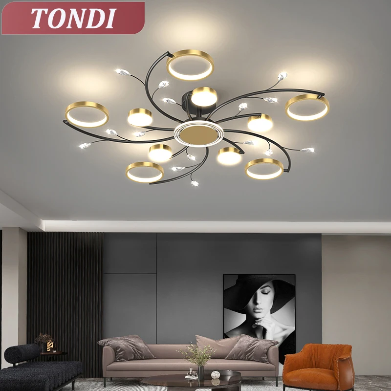 

Nordic LED Ceiling Chandelier For Living Room Bedroom Kitchen Dining Room Ceiling Light Lustre Indoor Lighting