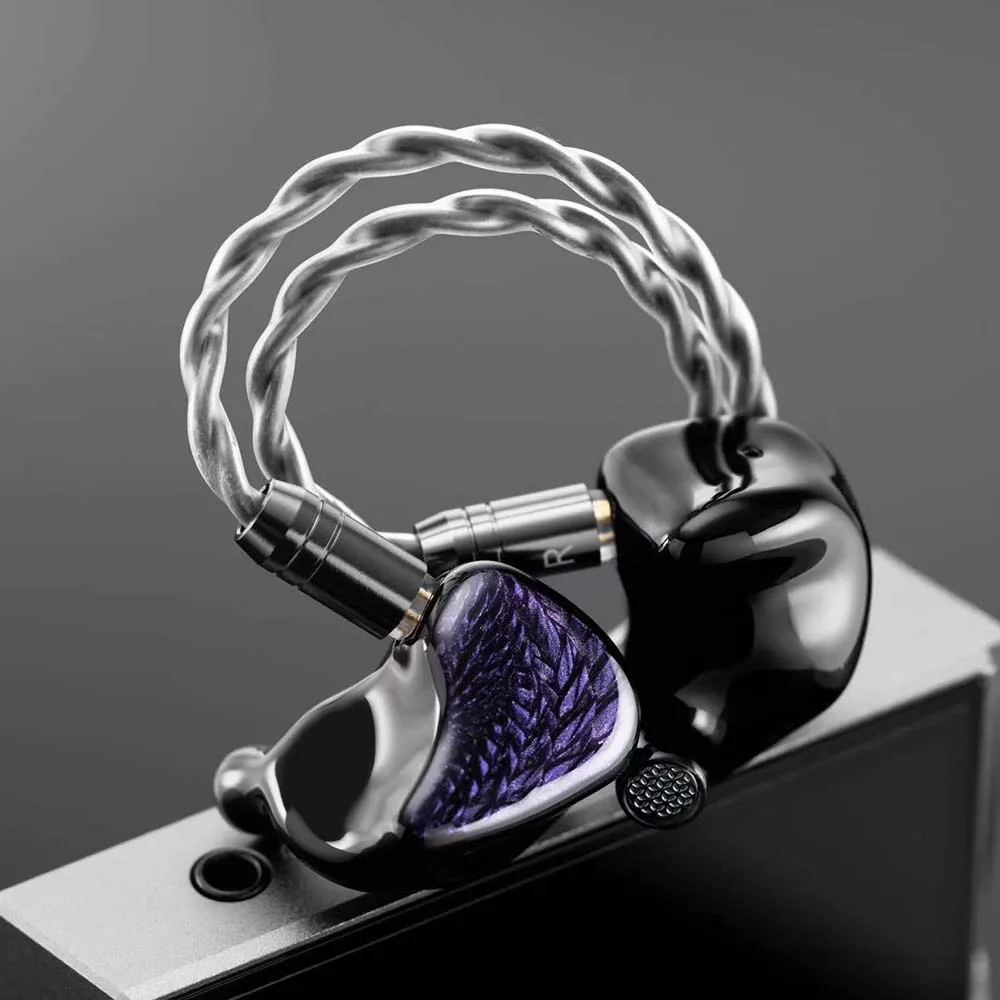 Kinera Celest Wyvern zwarte oortelefoon 10 mm LCP dynamische driver met afneembare giekmicrofoon IEMs-kabel Audio-hoofdtelefoon