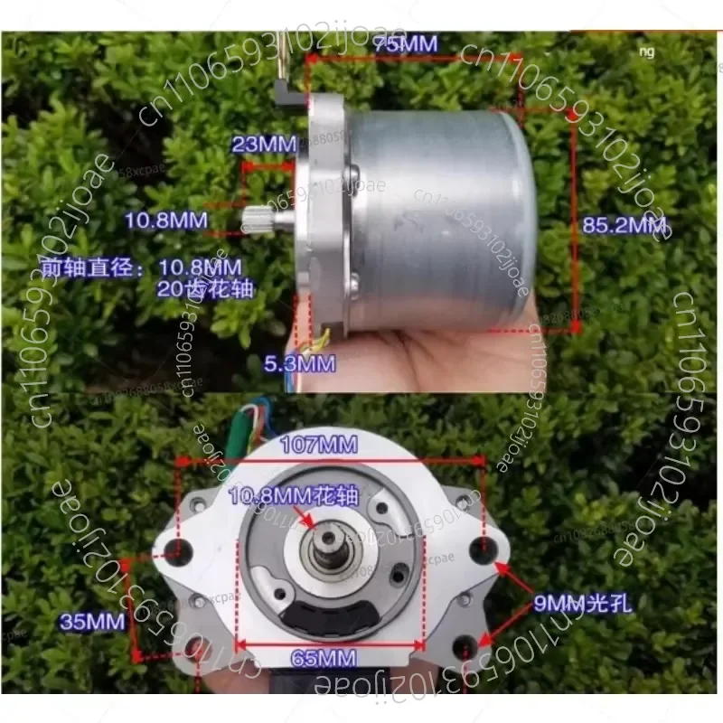 12/24V DC Brushless Motor High Torque High Power Rotary Variable Speed Propulsion Unit for Vehicles Boats 500W with Hall