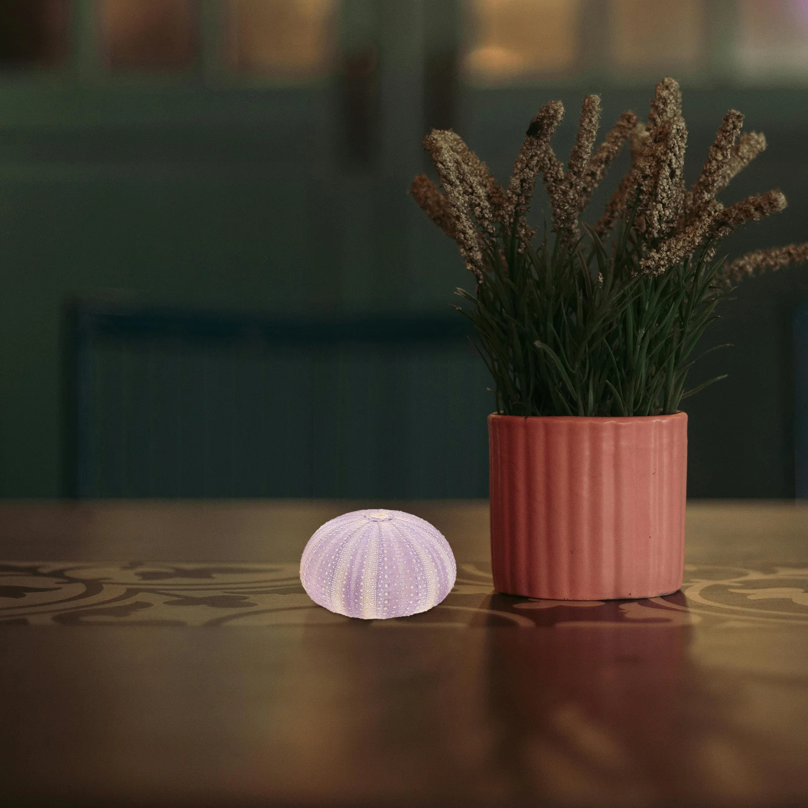 3Pcs Sea Urchin She… - image