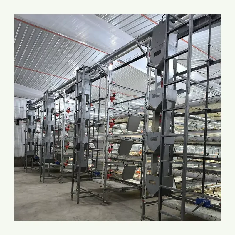 H Type Poultry Broiler Cage for Modern Automatic Broiler Chicken Farming Equipment for Nigeria