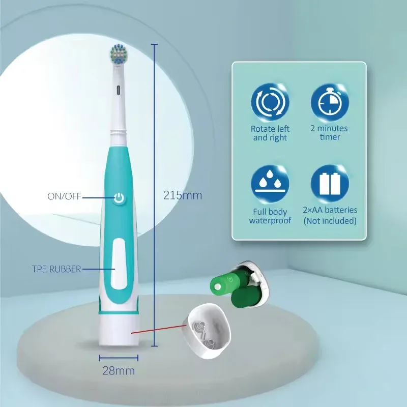 Sonic Electric Toothbrush Rounded 3D Vibrate Teeth Brush Rotation Gum Care Soft Bristle Heads Battery Power Teeth Whitening