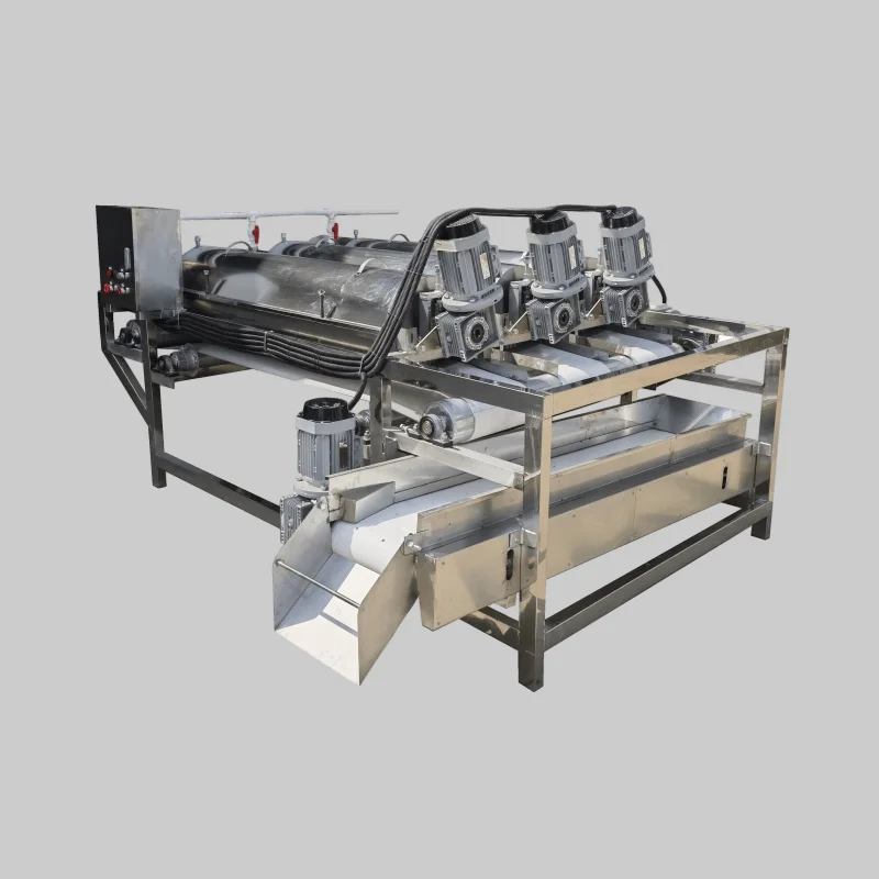 Food Safe Ozone Veggie Fruit Washer for Supermarket Vegetable Pre-cleaning Before Packaging