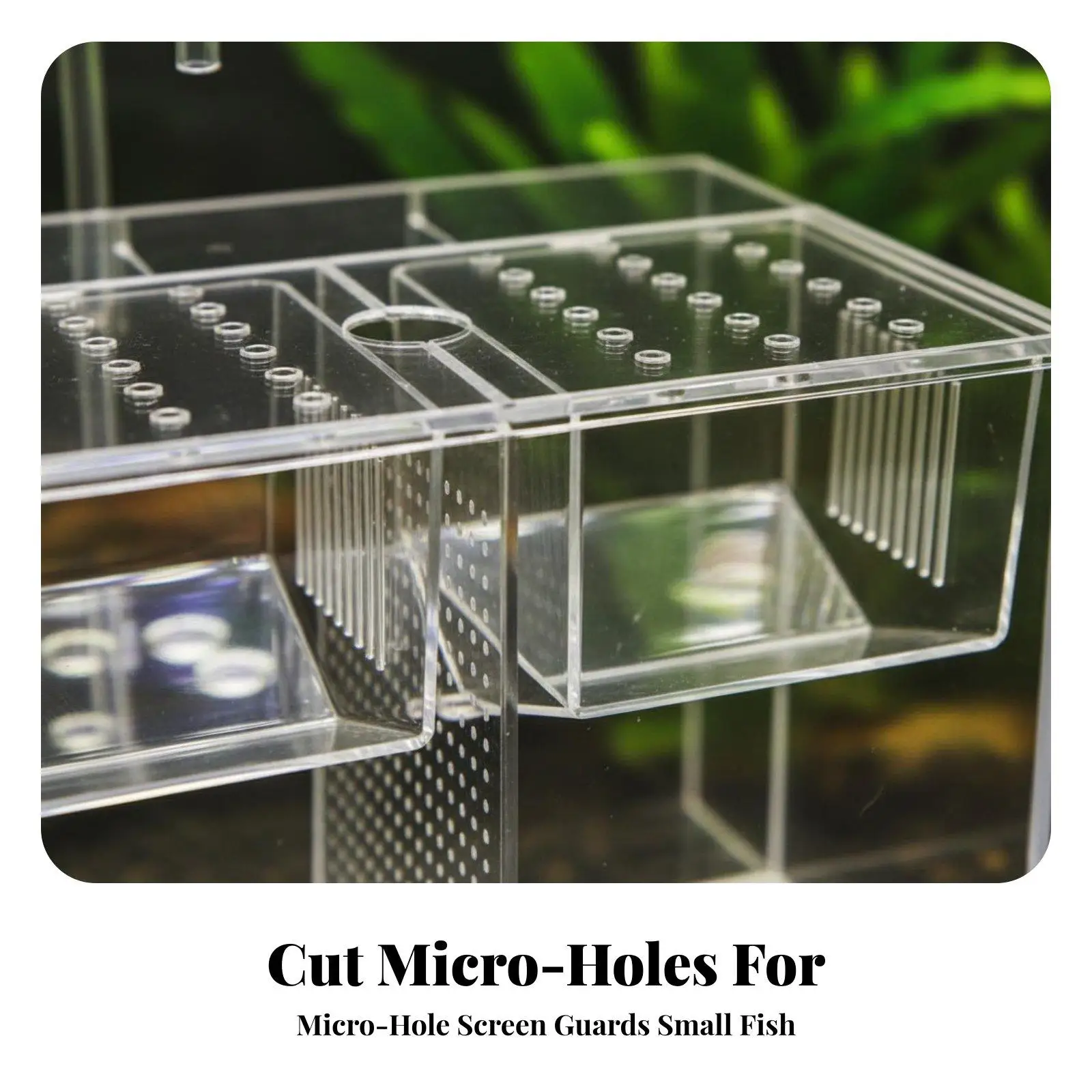 Multifunctional Aquarium Breeding Box with V Shaped Partition for Guppy Fry and Egg Incubation