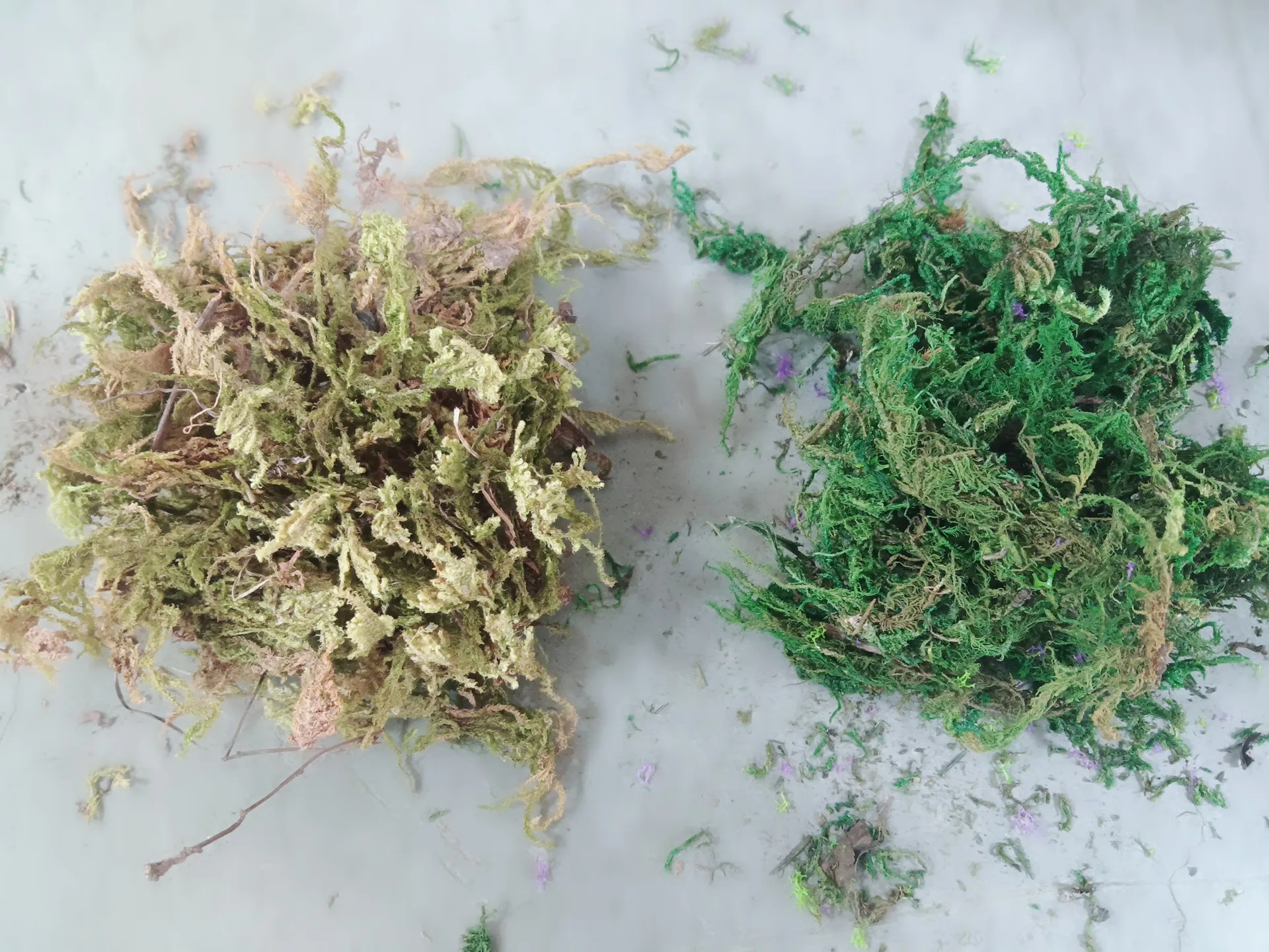 20 グラム/バッグミニチュア苔 DIY モデル作成/マイクロサンドテーブル風景/軍事ウォーゲーム風景/鉄道列車レイアウト/ジオラマ用