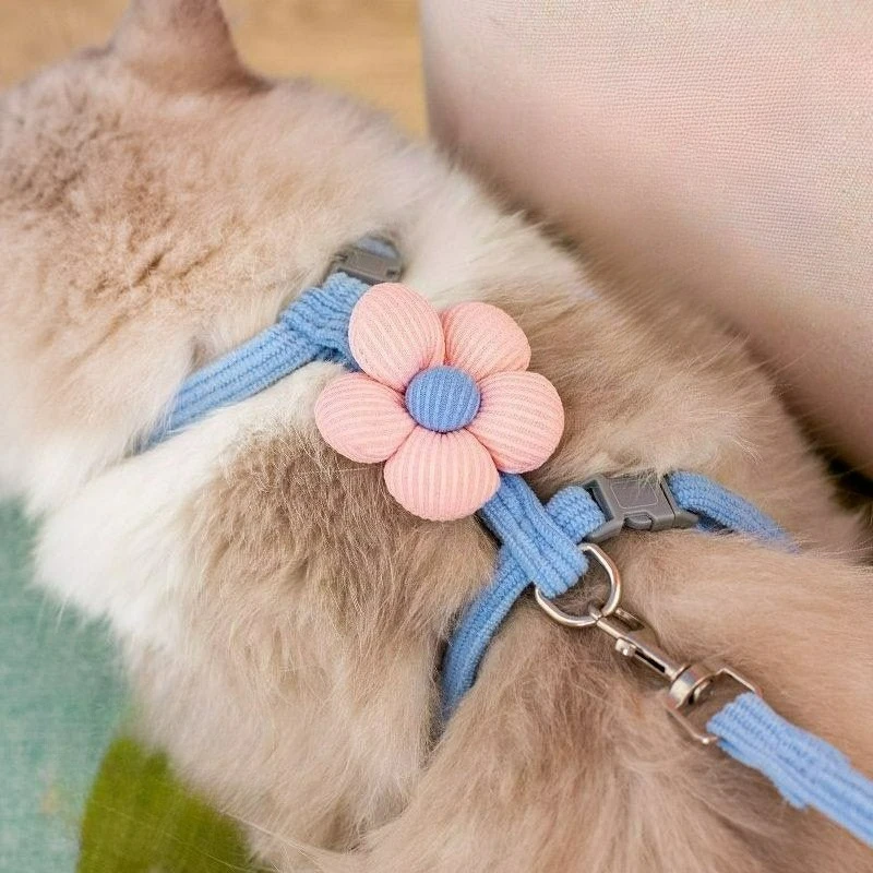 

Adjustable Dog Harness for Small Dog Leash Breashable Small Cat Harness and Leash Sets Pet Harness Out Walking Dog Accessories