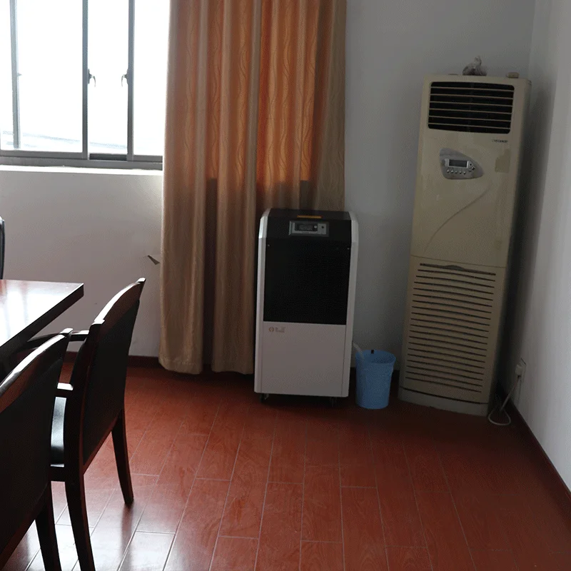 Hot Sale Indoor Moisture Remover For Hotels Indoor Room Commercial Dehumidifier